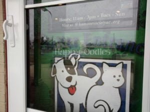 happy-oodles-bellas-life-day-1-front-green-door-fl
