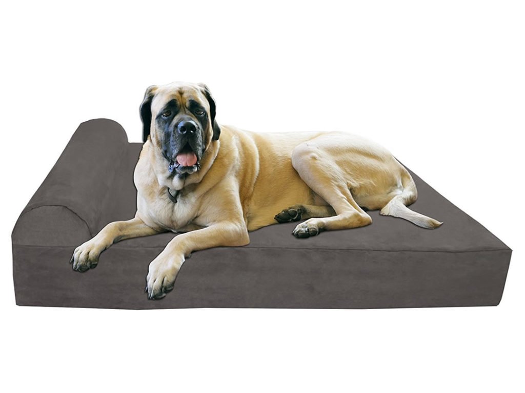 The Best Dog Bed For Your Dog