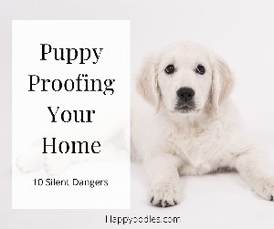 Puppy Proofing Your Home - 10 Silent Dangers - Happy Oodles
