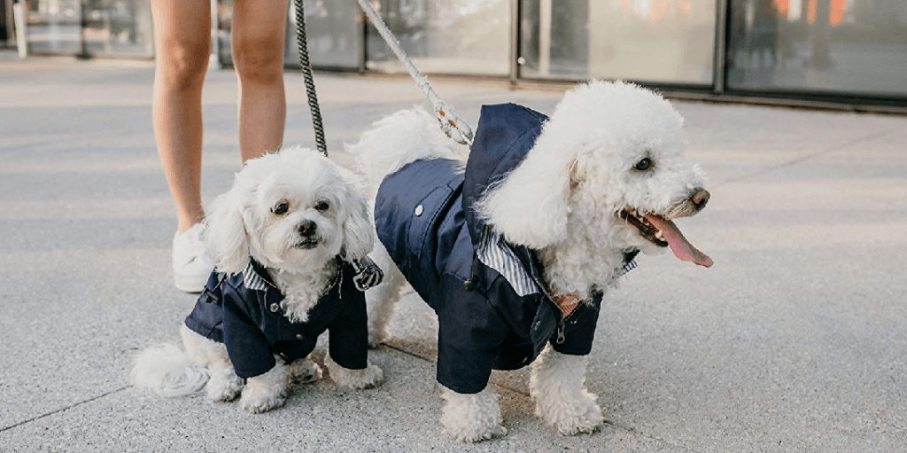 Rainy Day Raincoat for Dogs