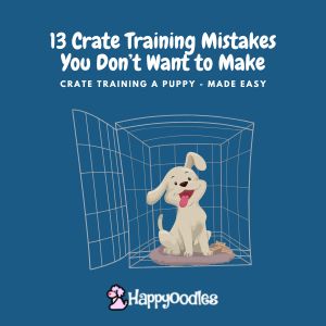 13 Crate Training Mistakes You Don’t Want to Make - Title pic with graphic of a puppy in a crate with a blue background