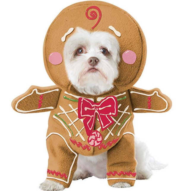 Halloween Costumes for Dogs - Dog dressed as gingerbread man
