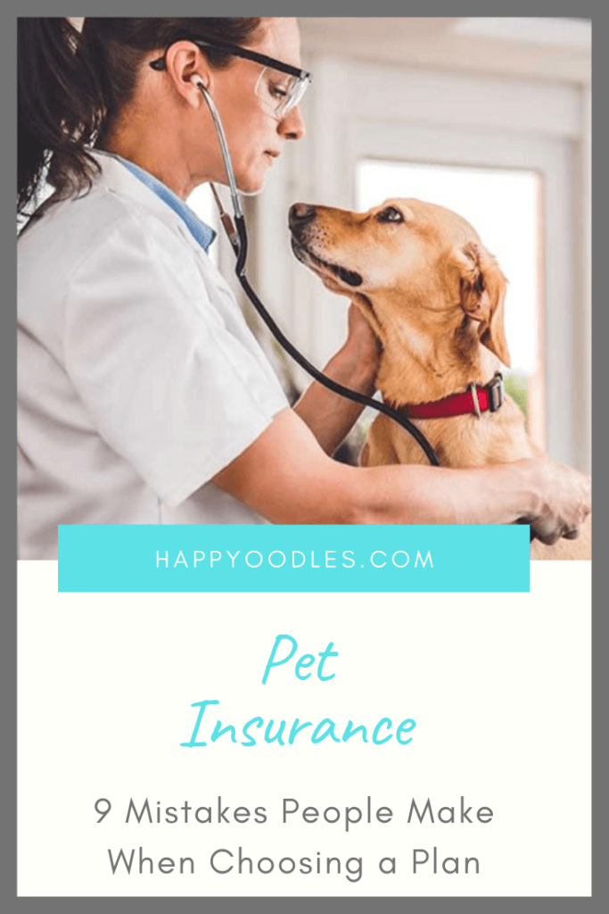 Common Pet Insurance Buying Mistakes Pin