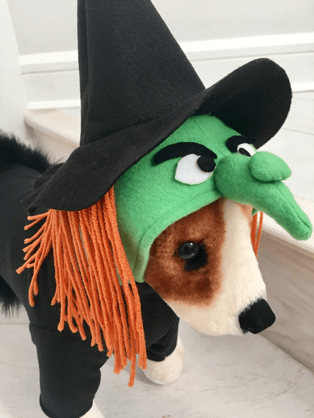 Green Wicked witch costume with dog manikin