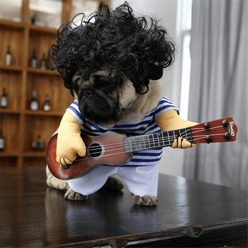 Guitar Playing Halloween costume for dogs