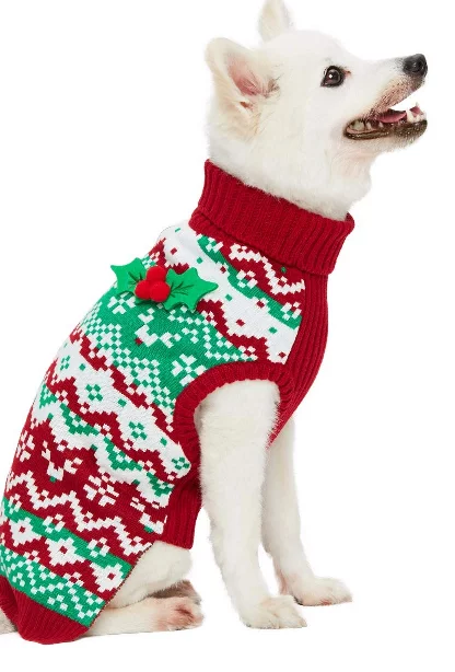 Mint green and red sweater on white dog 