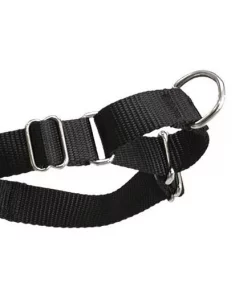 Easy Walk Harness martingale loop. Image is part of the post The Best Dog Harness for Doodles. 