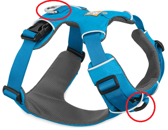 Blue harness showing dual loops. - Part of the best dog harness for doodles