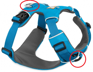 Dual harness in blue with a front leash ring and a back leach ring 