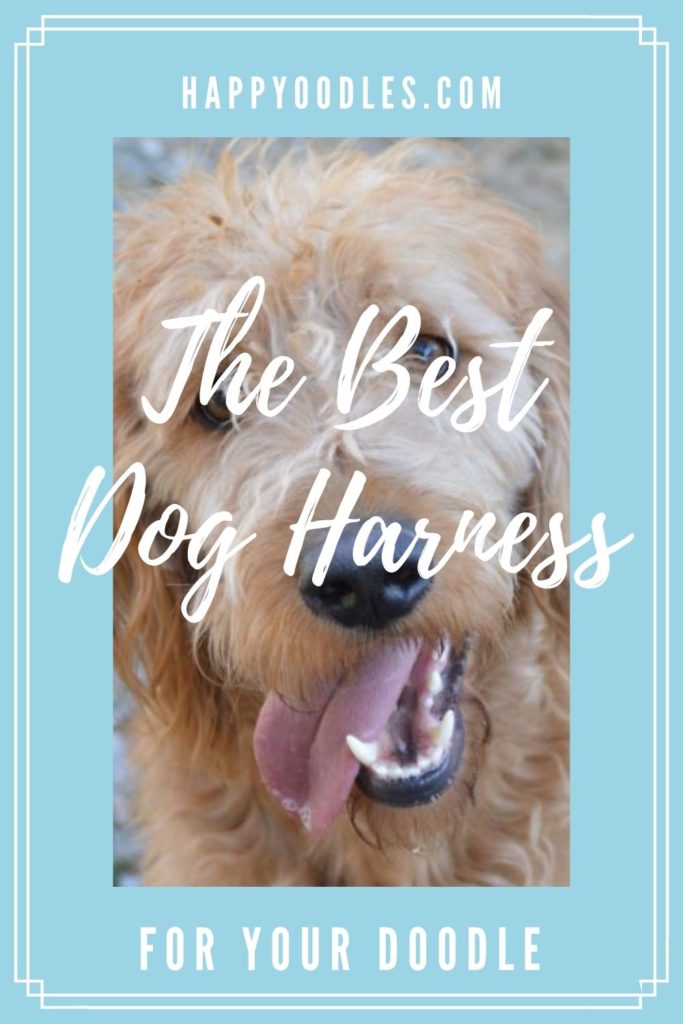 The Best Dog Harness for Doodles and Poodles title pic - Happyoodles.com