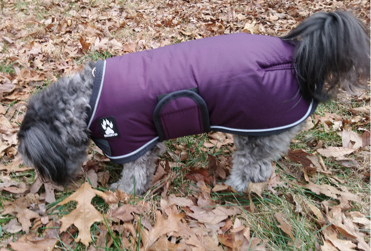 Shedrow K9 Tundra Winter Dog Coat Fitted Rear