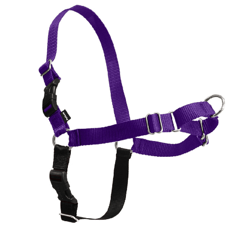 Best Dog Harness for Doodles - the easy walk harness in purple. 