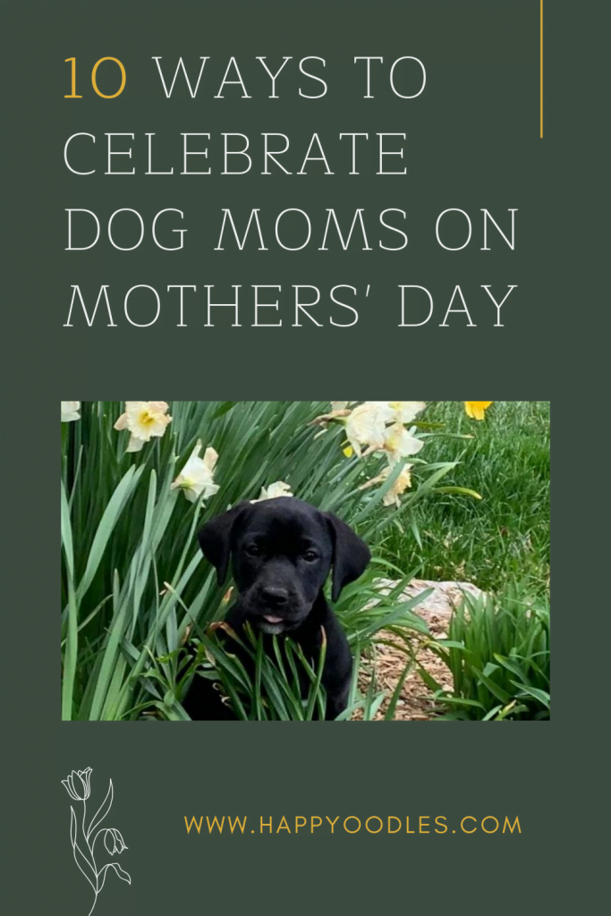 10 Ways to Celebrate Dog Moms on Mother's Day pin