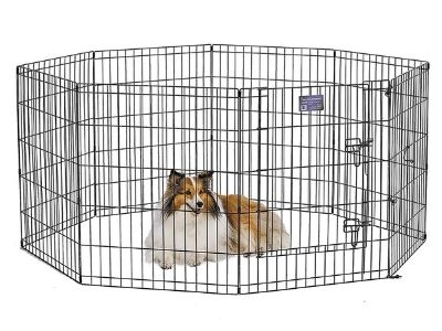 Puppy Crying in Crate at Night? Here's Help - Midwest exercise pen