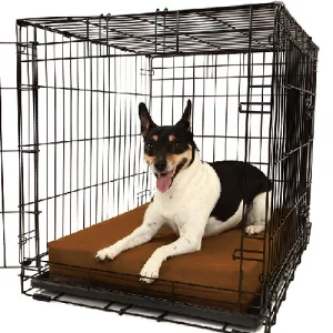 Black create with dog laying a crate pad. 