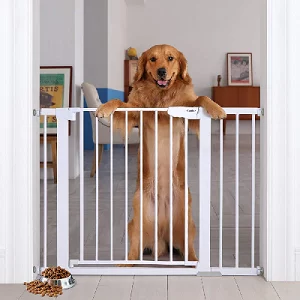 Dog hanging on doorway gate - New Puppy Check List: What You Need for a Puppy