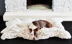 Gifts for your Bernedoodle - Happyoodles.com - Luxury Faux Fur Snug Bear Rug Bed by Animals Matter