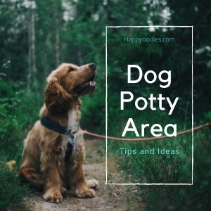 Dog Potty Area Guide: Tips and Ideas - Happy Oodles