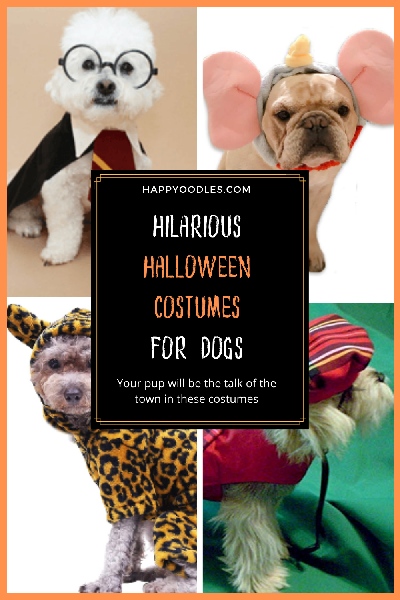 Hilarious Halloween Costumes for Dogs - Updated for 2020