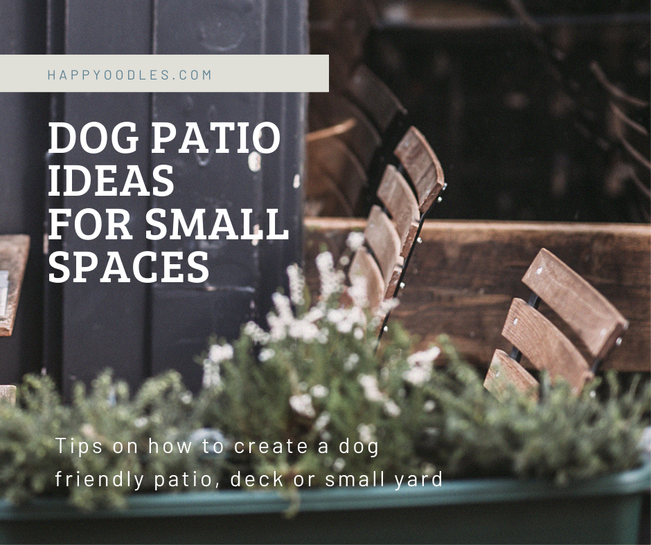 Dog Patio Ideas - For Small Spaces