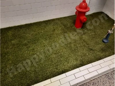 Service Animal Relief Area at IAH - United Airline Terminal - Turf