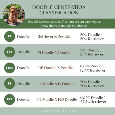 Doodle Generation Classification Chart