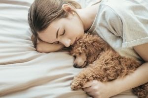 Happyoodles.com mini poodle sleeping with girl