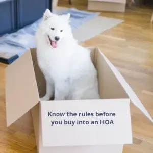 white do in a moving box with the words "know the rules before you buy into a HOA
