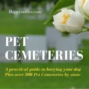 Pet Cemeteries: A practical guide to burying a dog title page with a grave yard in the background