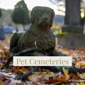 Active Pet Cemeteries in the USA