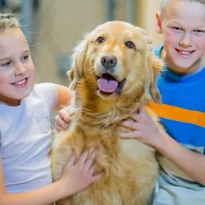 Where to Look for a Golden Retriever Rescue - Golden with two children Canva