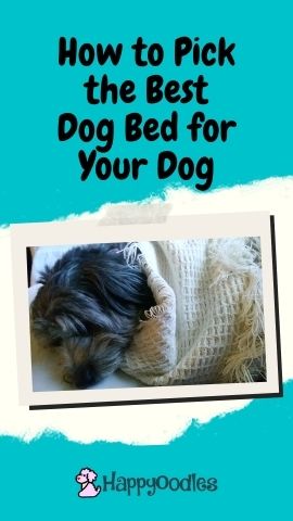 The Best Dog Bed for Your Dog Happyoodles.com pin Gray dog wrapped in blanket