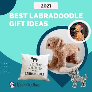 I Can Explain!' Labradoodle Red Dog Porcelain Ornament Pet Gift 'Santa 
