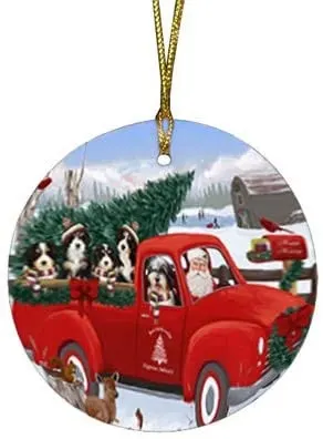 Best Bernedoodle Gift Ideas For 2021- 7. Santa Express Delivery Red Truck  