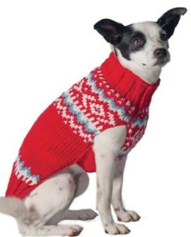 The Perfect Dog Christmas Sweater for 2021 Happy Oodles