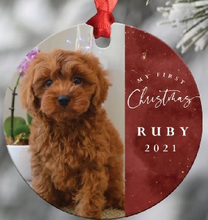 PUPPY Dog Bone HANDMADE POLYMER CLAY Personalized CHRISTMAS Ornament Deb & Co 