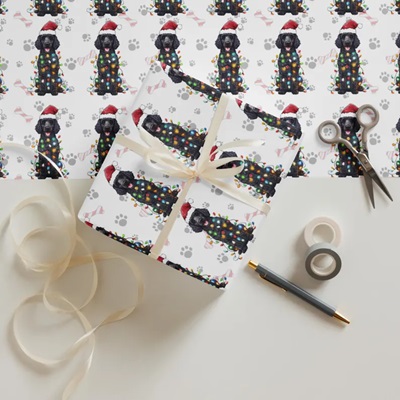 Shop HL Creations - Doodle Wrapping Paper 2024