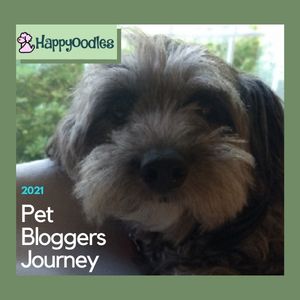 2021 Annual Pet Bloggers Journey - The Adventure Continues title pic