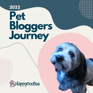 Welcome to the 2022 Pet Blogger Journey - title picture