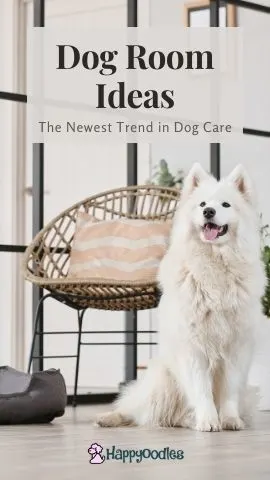 Dog Room Ideas: The Newest Trend in Dog Care - Happyoodles.com Pic of dog in room with chair and bed