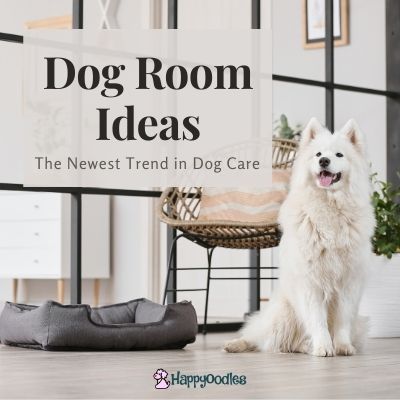 Dog Room Ideas: The Newest Trend in Dog Care