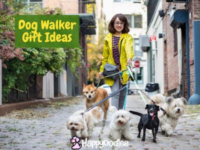Dog walker gift ideas heading with a pic of a women waking five dog on a city street. 