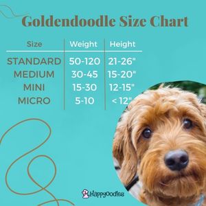 Happpyoodles.com Goldendoodle Size Chart