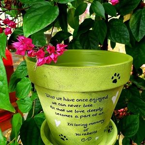Pet Memorial flower pot in green