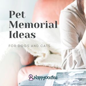 Pet Memorial Ideas - Happyoodles.com  TP 