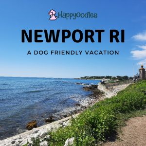 Newport, RI: A Dog Friendly Vacation Spot Happyoodles.com 