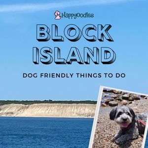 Block Island - Dog Friendly Things To Do - Happyoodles.com Pic of Block Island and Bella at beach