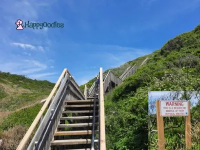Staircase at Mohegan Bluffs - Happyoodles.com