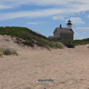 Block Island - Dog Friendly Things To Do - North Light