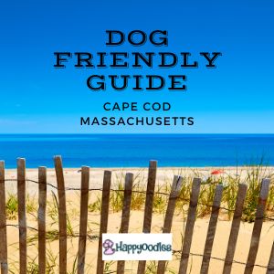 Dog Friendly Guide to Cape Cod, Ma title pic of beach and water